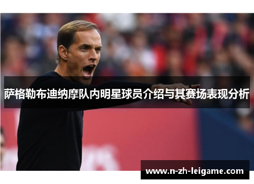 萨格勒布迪纳摩队内明星球员介绍与其赛场表现分析 萨格勒布迪纳摩队内明星球员介绍与其赛场表现分析