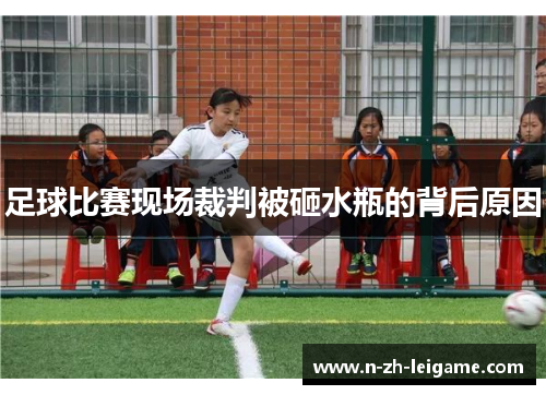 足球比赛现场裁判被砸水瓶的背后原因