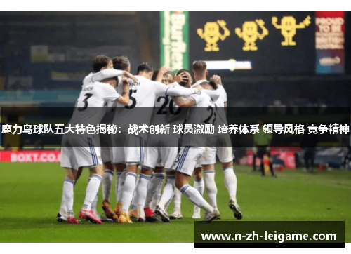 魔力鸟球队五大特色揭秘：战术创新 球员激励 培养体系 领导风格 竞争精神