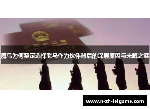 魔鸟为何坚定选择老马作为伙伴背后的深层原因与未解之谜