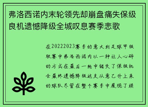 弗洛西诺内末轮领先却崩盘痛失保级良机遗憾降级全城叹息赛季悲歌
